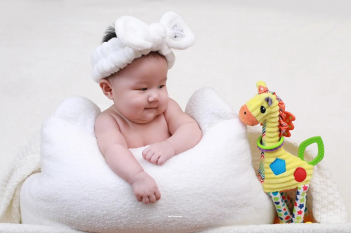 河北南京助孕公司排行：警惕低价陷阱，品质优先